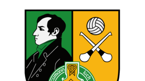 🟢🟡 Robert Emmets Unveils New Club Crest – Marking the Return of Hurling 🟢🟡