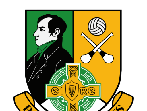 🟢🟡 Robert Emmets Unveils New Club Crest – Marking the Return of Hurling 🟢🟡